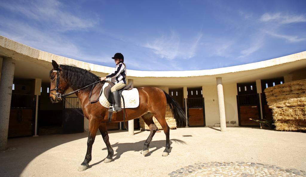Cortijo El Sotillo San Jose  Exterior photo